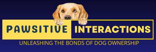 Pawsitive Interactions